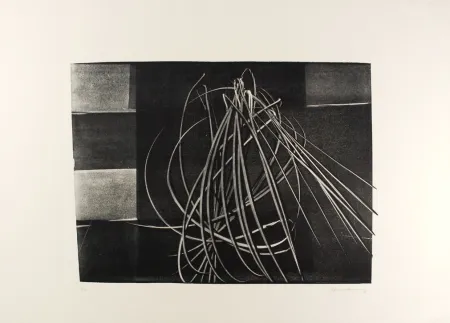 石版画 Hartung - L-4-1976 