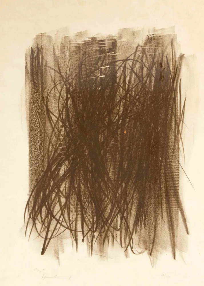 无技术 Hartung - L92