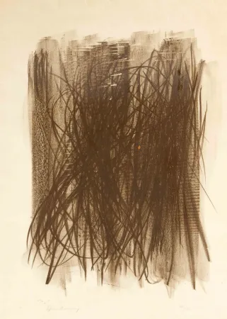 无技术 Hartung - L92