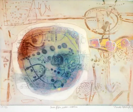 蚀刻飞尘法 Hasegawa - Java flore sous marine