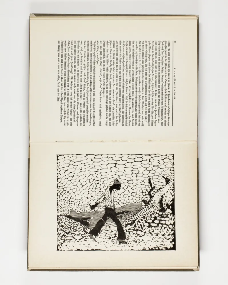 插图书 Hasemann - Himmel und Hölle auf der Landstraße