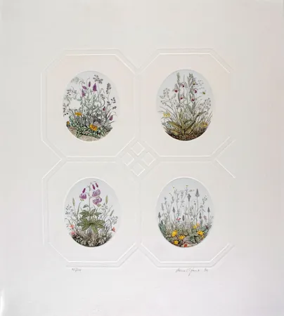 蚀刻版画 Hauck - Les Fleurs - Flowers