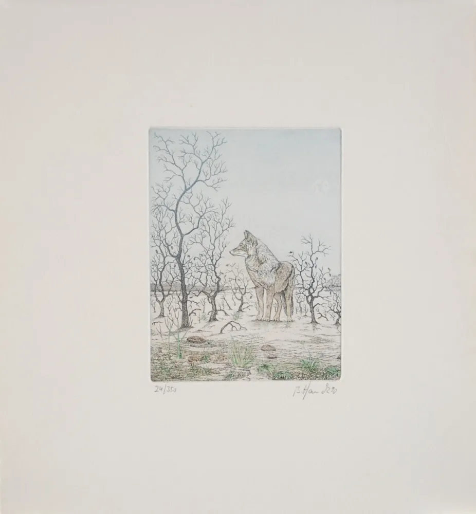 蚀刻版画 Hauck - Loup - Wolf