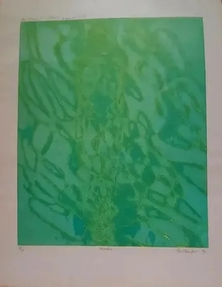 版画 Hayter - Marais (1976)