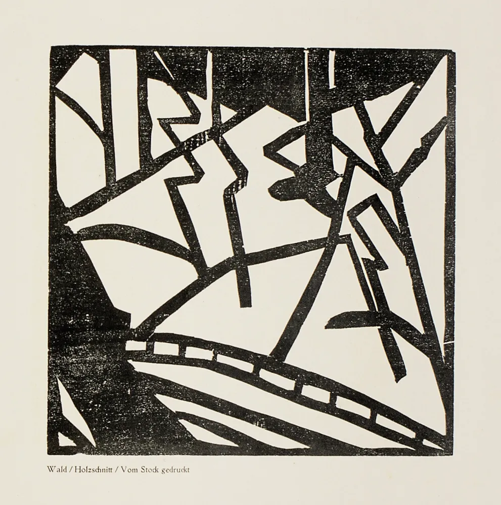 木刻 Heemskerck,  - Sturm-Bilderbuch VII 