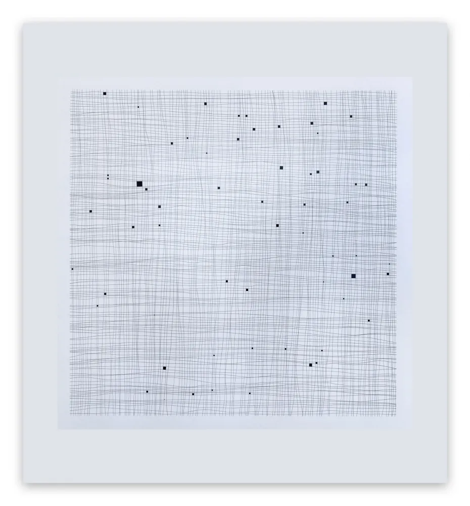 无技术 Henderson - Terms and Conditions