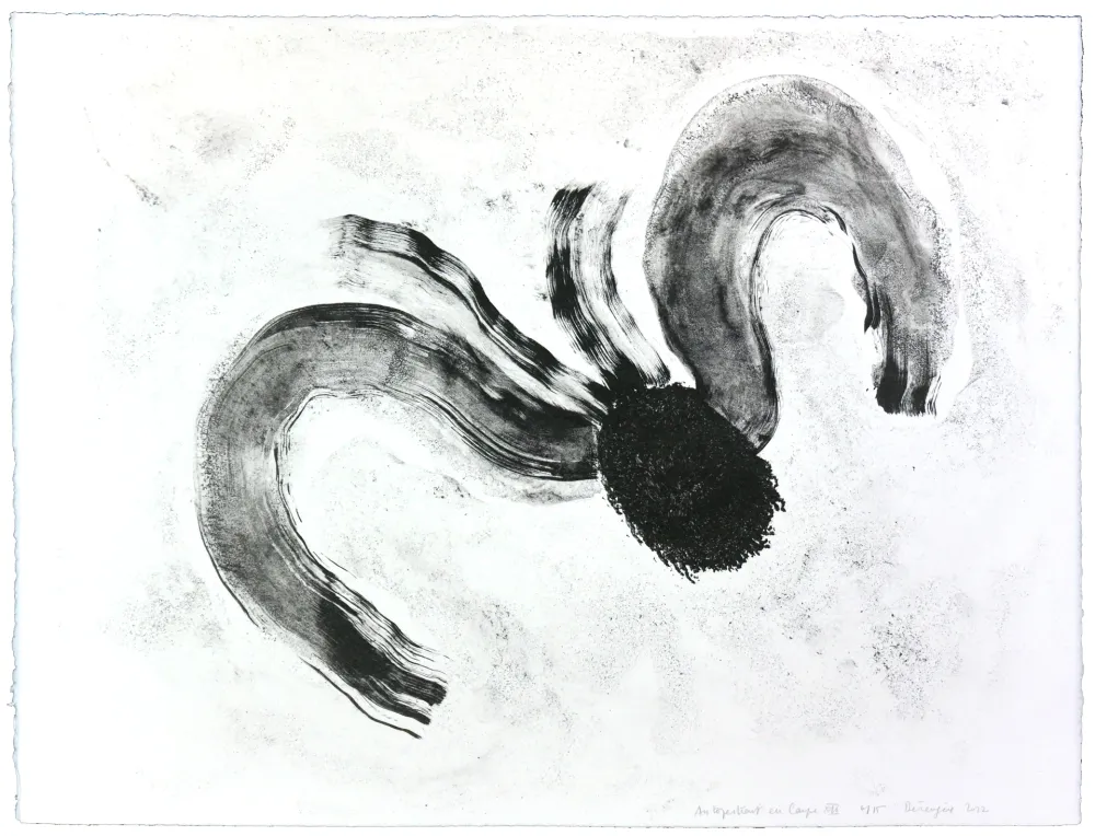 石版画 Henin - Auportrait en carpe XII