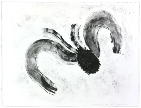 石版画 Henin - Auportrait en carpe XII