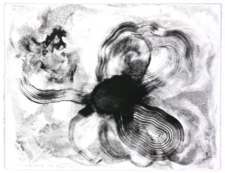 石版画 Henin - Auportrait en carpe XIII