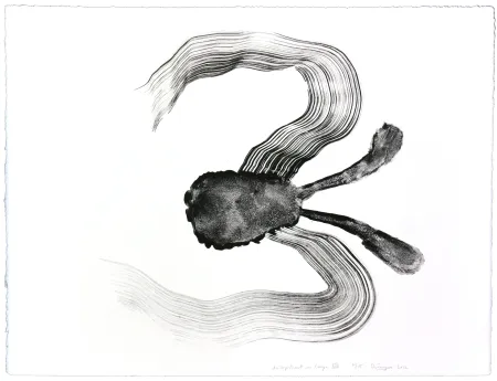 石版画 Henin - Auportrait en carpe XIV