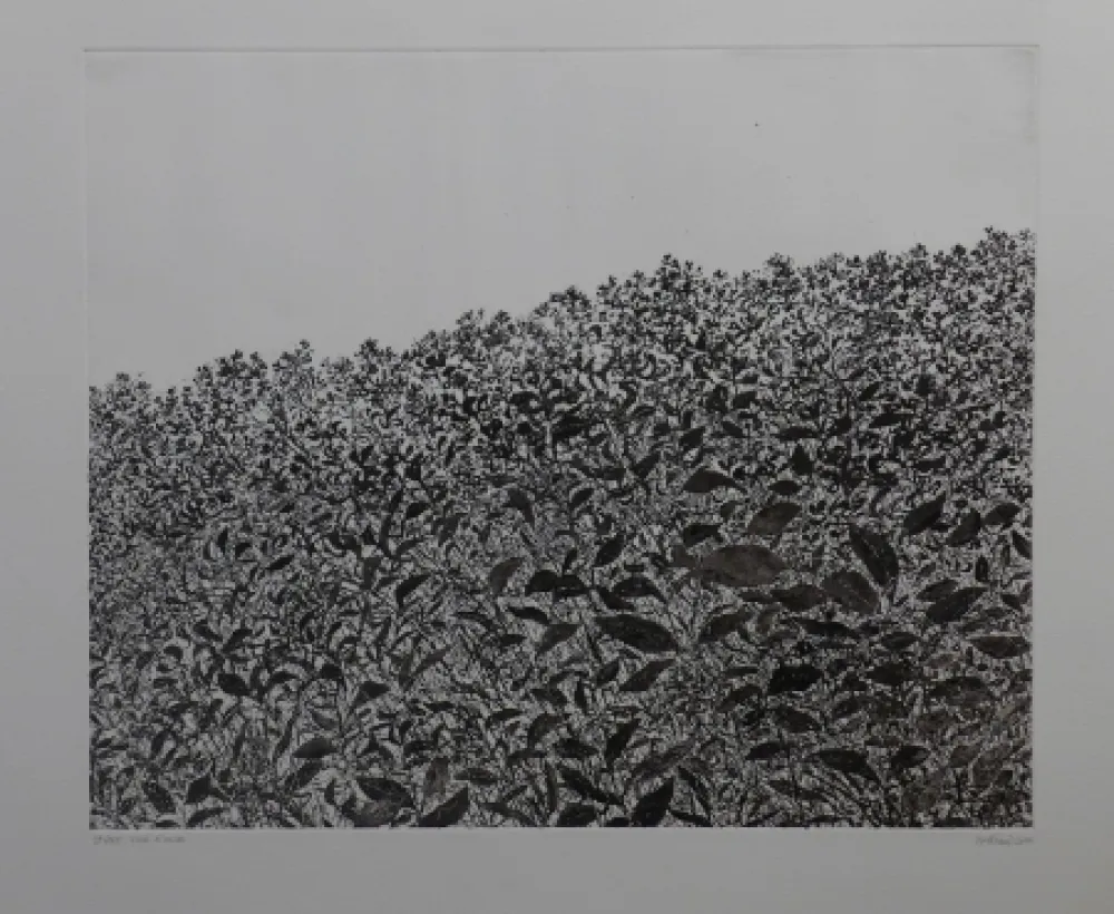 蚀刻版画 Henry - Sans titre