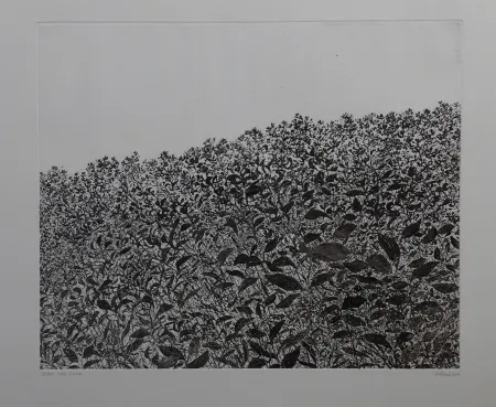 蚀刻版画 Henry - Sans titre