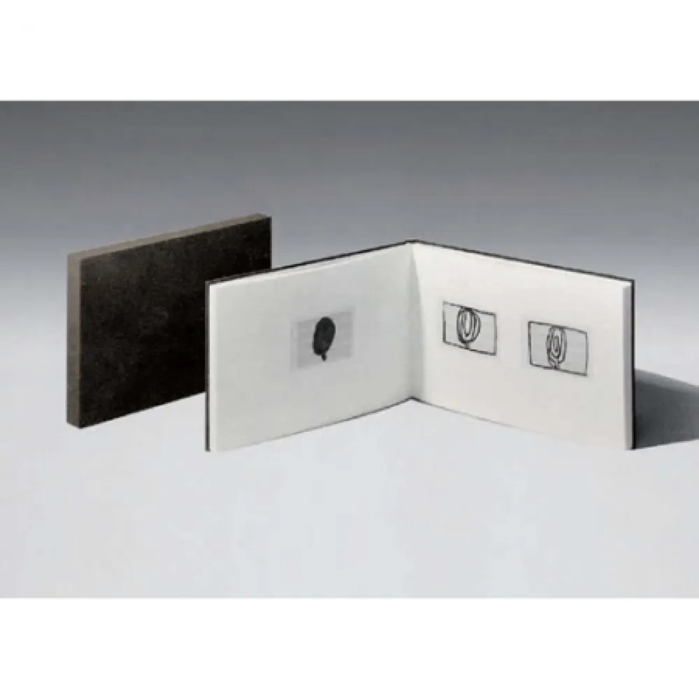 飞尘腐蚀法 Hernandez Pijuan - Dibuixos 1989-1990 Drawings (with aquatints Dibuixos 1 and Dibuixos 2)