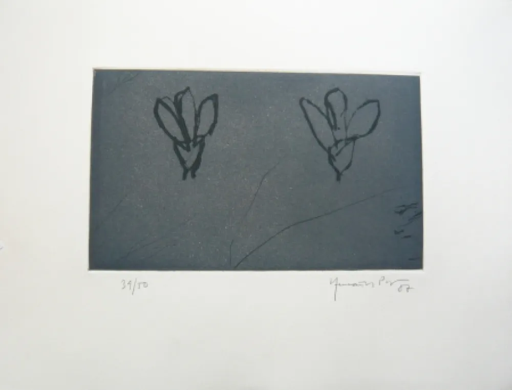 复数作品 Hernandez Pijuan - Flors sobre gris