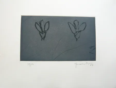 复数作品 Hernandez Pijuan - Flors sobre gris