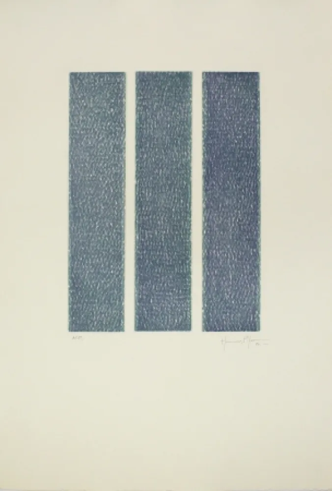 飞尘腐蚀法 Hernandez Pijuan - HP 13