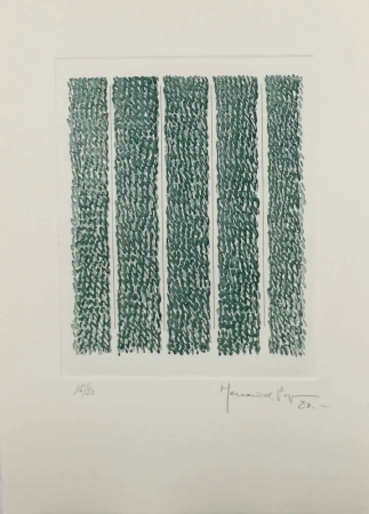 蚀刻飞尘法 Hernandez Pijuan - HP 7