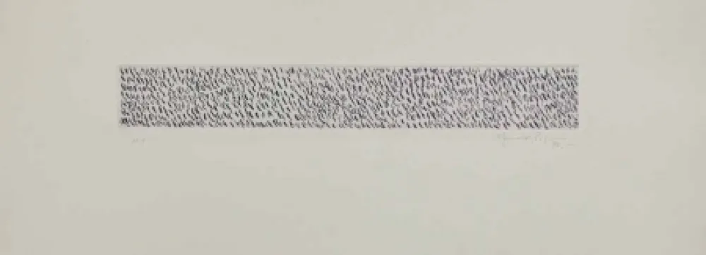 飞尘腐蚀法 Hernandez Pijuan - HP 9