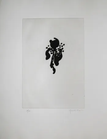 飞尘腐蚀法 Hernandez Pijuan - Iris negre I (Black Iris I)