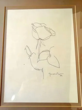 无技术 Hernandez Pijuan - La Rosa - 3