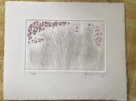 蚀刻飞尘法 Hernandez Pijuan - PJ-10