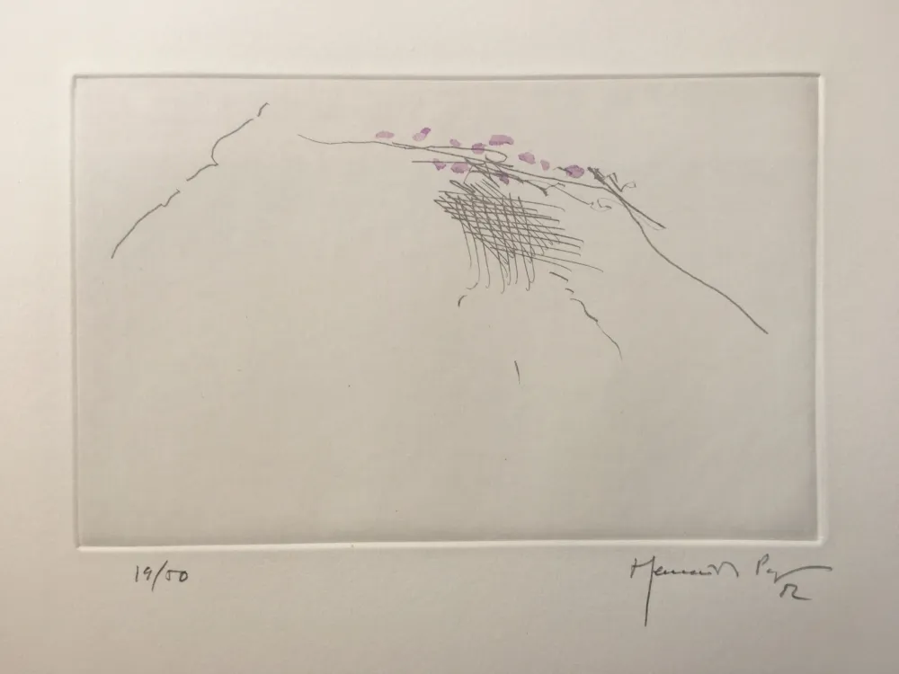 版画 Hernandez Pijuan - PJ8