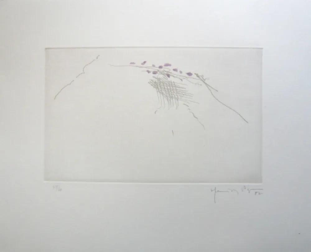 版画 Hernandez Pijuan - PJ8