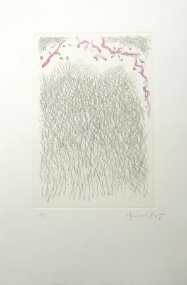 版画 Hernandez Pijuan - PL2