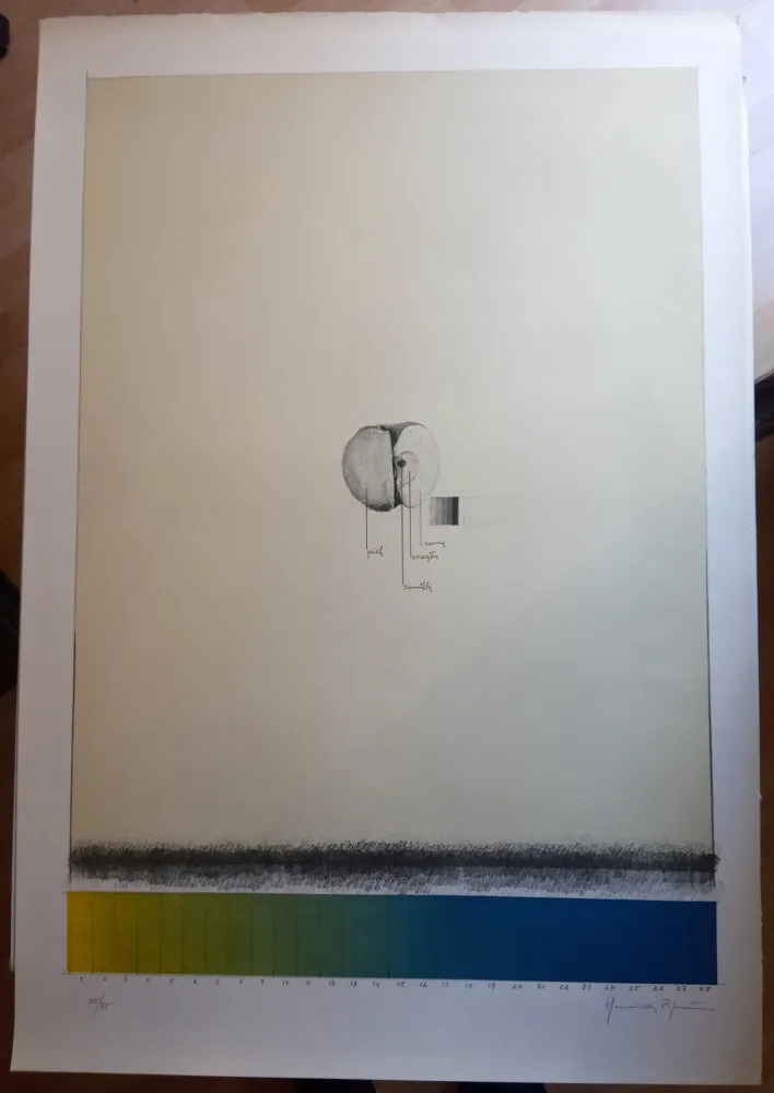 石版画 Hernandez Pijuan - Poma