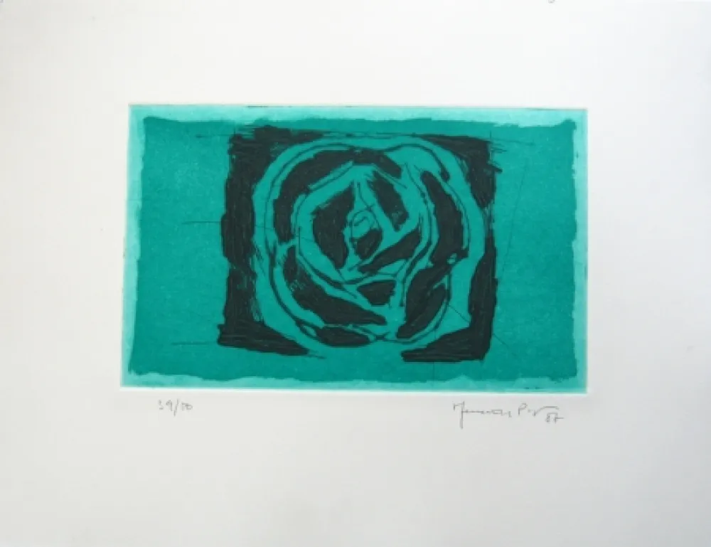 复数作品 Hernandez Pijuan - Rosa verda