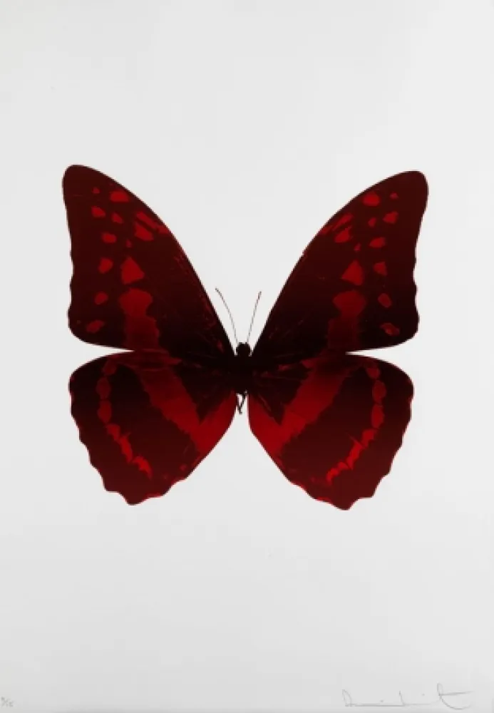 无技术 Hirst - Bristol 