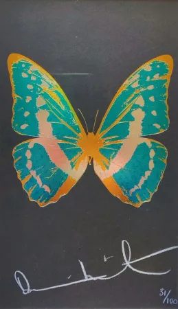 复数作品 Hirst - Butterfly from The Souls