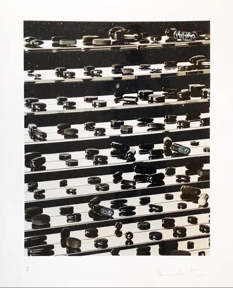 无技术 Hirst - Dead Black Brilliant Utopia