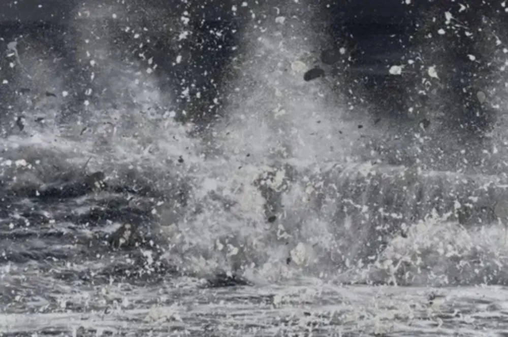 复数作品 Hirst - H13-10 Blizzard