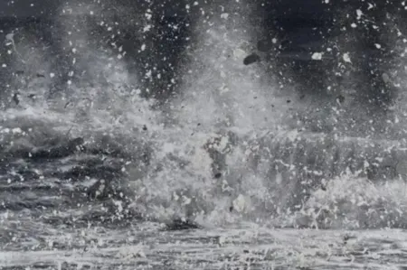 复数作品 Hirst - H13-10 Blizzard