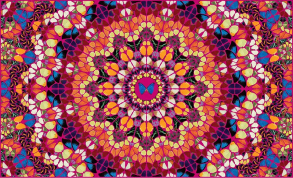 复数作品 Hirst - Harlequin from The Kaleidoscopes H18-1