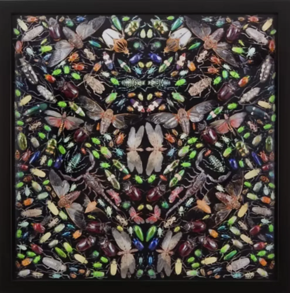 复数作品 Hirst - Inferno