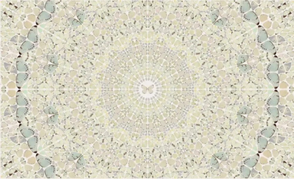 复数作品 Hirst - Intricacy from the Kaleidoscopes, H18-5