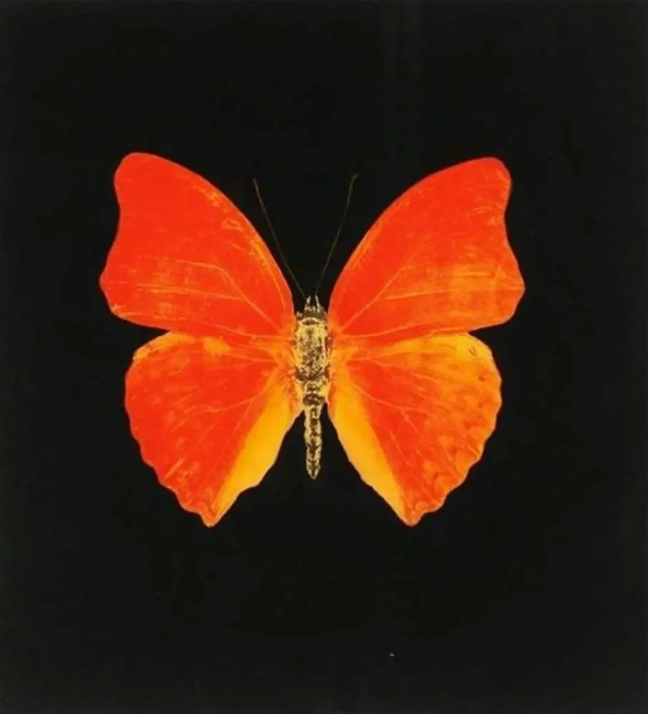 复数作品 Hirst - Memento 3