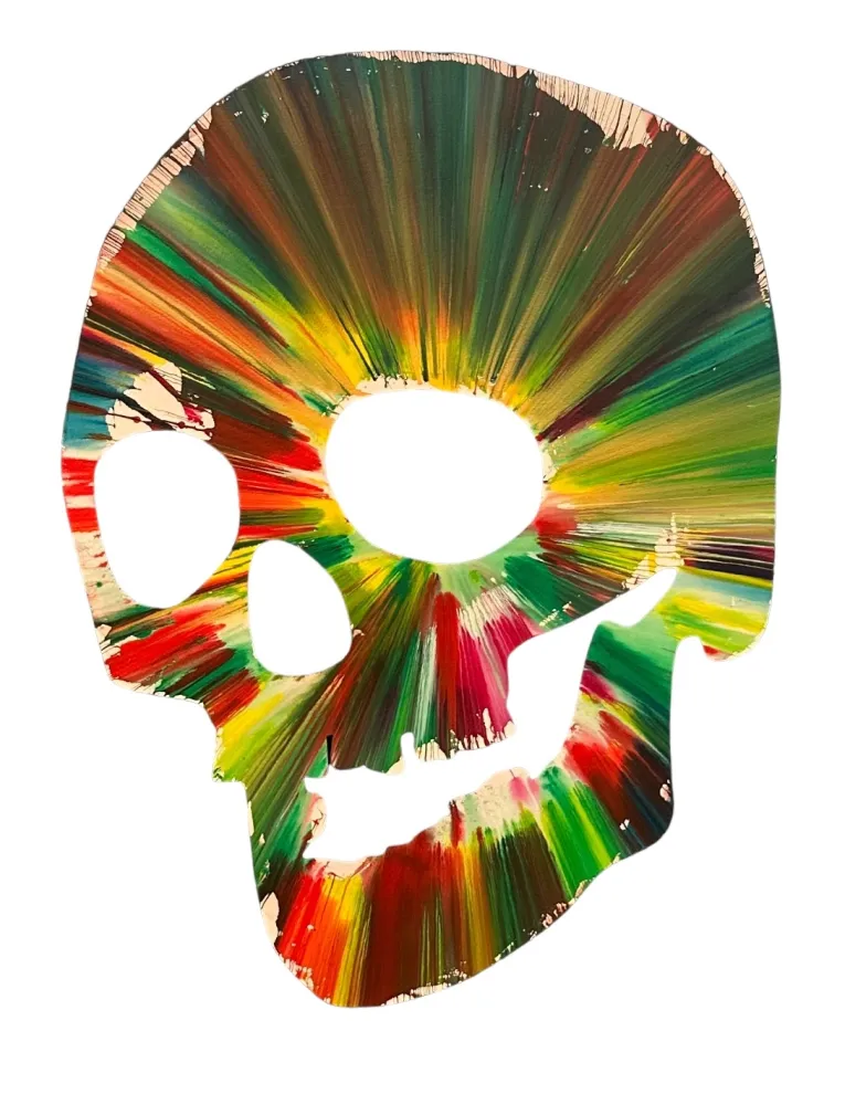 复数作品 Hirst - Skull Spin Painting