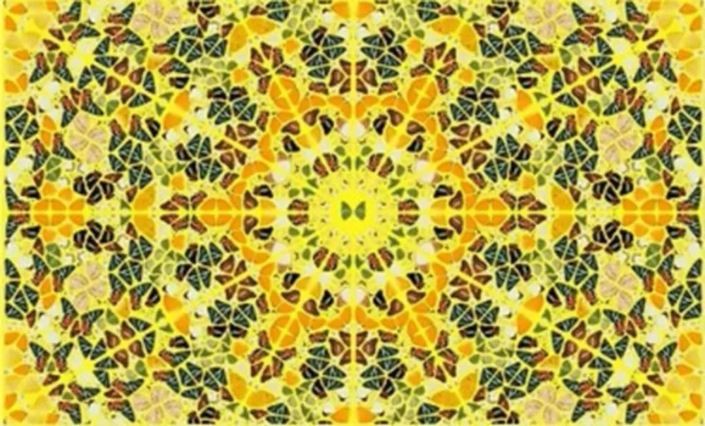 复数作品 Hirst - Splendour from the Kaleidoscopes, H18-4