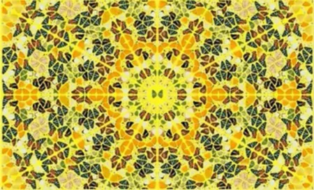 复数作品 Hirst - Splendour from the Kaleidoscopes, H18-4
