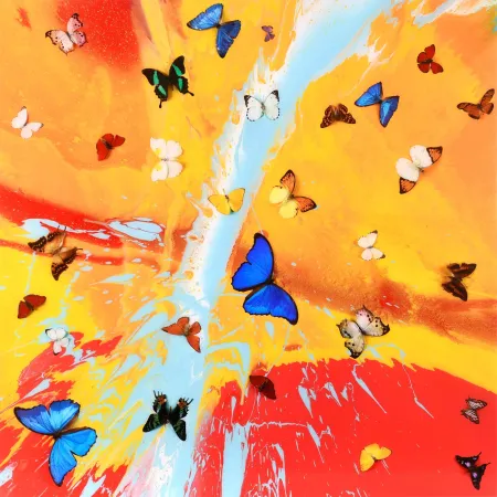 复数作品 Hirst - The Dreams – Aurora Dawn