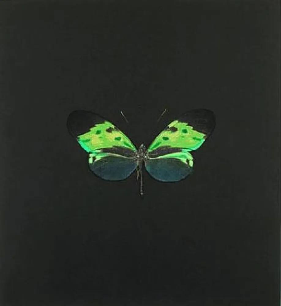蚀刻版画 Hirst - The Souls on Jacob's Ladder Take Their Flight (Small Green)
