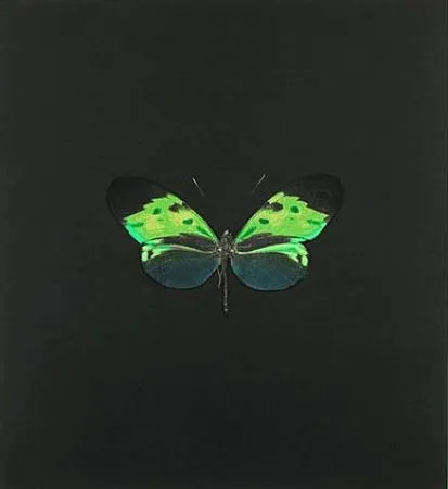 蚀刻版画 Hirst - The Souls on Jacob's Ladder Take Their Flight (Small Green)
