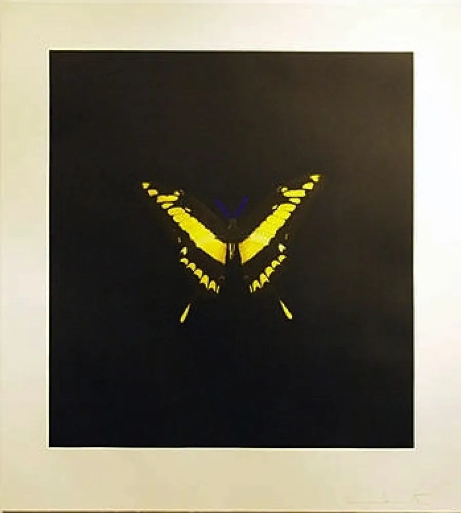 蚀刻版画 Hirst - The Souls On Jacob's Ladder Take Their Flight (Small Yellow)