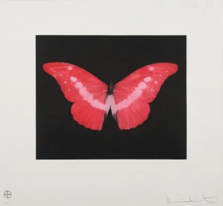 飞尘腐蚀法 Hirst - To Lose