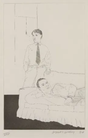 复数作品 Hockney - Beautiful and White Flowers