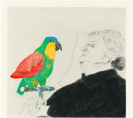 蚀刻版画 Hockney -  Félicité sleeping with Parrot. 1974