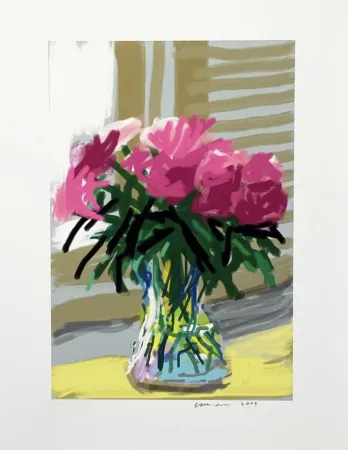复数作品 Hockney - My Window - iPad drawing 'No. 535', 28th June 2009,